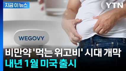 비만약 '먹는 위고비' 시대 개막... 내년 1월 미국 출시 [지금이뉴스] / YTN