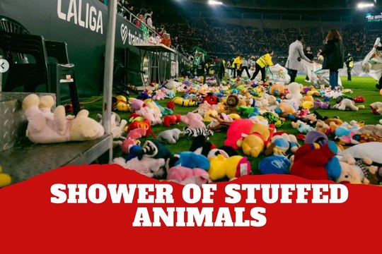 Real Betis has a record-breaking shower of stuffed animals