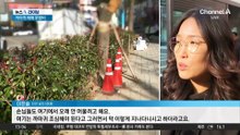 “눈처럼 배설물 테러”…까마귀 떼의 습격