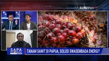 [FULL] Prabowo Dorong Tanam Sawit di Papua: DPR & Greenpeace Soroti Dampaknya