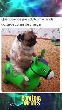 SE VOCÊ RIR DESSAS IMAGENS, SEU HUMOR ESTÁ QUEBRADO