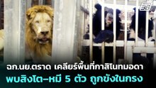 ฉก.นย.ตราด เคลียร์พื้นที่กาสิโนทมอดา พบสิงโต–หมี 5 ตัว ถูกขังในกรง | เที่ยงทันข่าว | 23 ธ.ค. 68