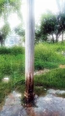 Beautiful Rainy Road Nature | Peaceful Rainfall Scenery | Relaxing Nature View