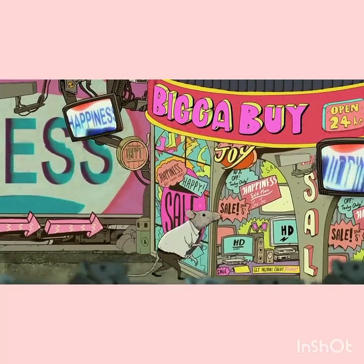 animals video