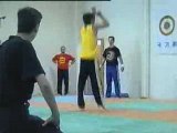 Tae Kwon Do-Capoiera