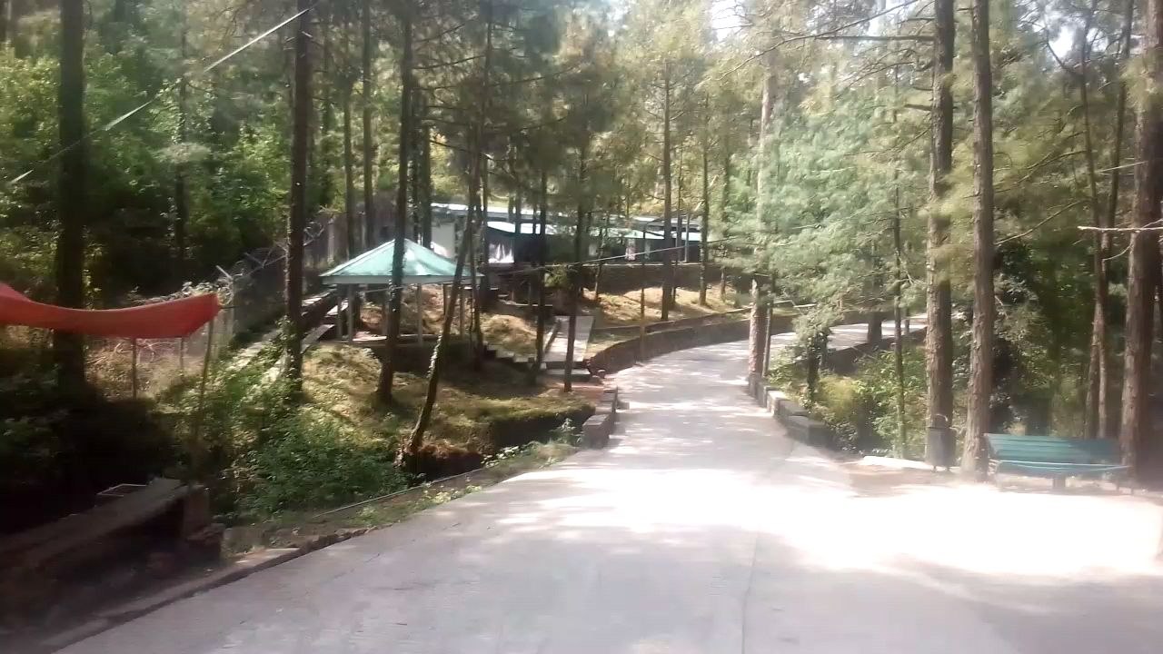 zoo in murree