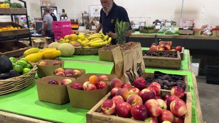 Many NSW residents opting to shop at farmers’ markets these holidays