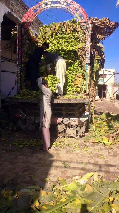 Banana Store in Pakistan #Layyah#coldstore #Bananastore