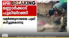 പാലക്കാട് മണ്ണാർക്കാട് തത്തേങ്ങലത്ത് വീണ്ടും പുലി ഇറങ്ങി