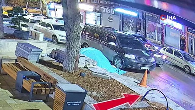 Ne bulurlarsa çalıyorlar. Parktaki ağacı otomobile atıp kaçtılar