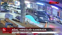 Kahramanmaraş'ta parktaki ağacı araçla çaldılar