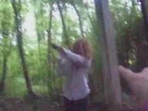 la vengeance de la foret-toto et boubou