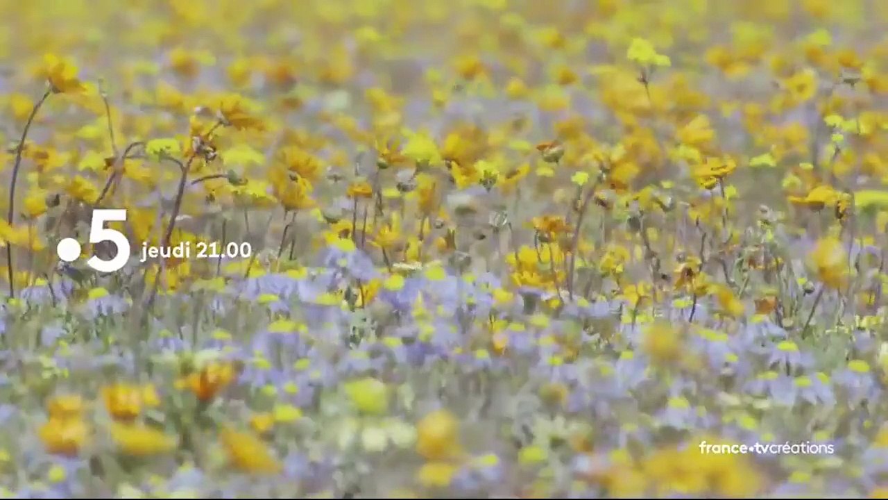 L'abominable mystère des fleurs