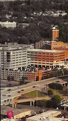 The Price Of Loving You Drama Romantic Englishdrama Mafia Reelsshorts