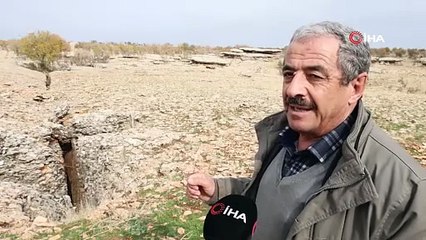 Diyarbakır'da yüz milyonlarca yıllık ezber bozan keşif!