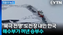 한국도 북극항로 간다...내년 첫 시범 운항 [지금이뉴스] / YTN