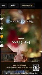 Seduction Cove 🔥 Full Episode HD | Engsub