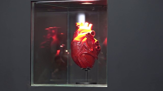 L'arte di Jago all'aeroporto di Fiumicino con Apparato circolatorio