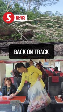 KTM Komuter and ETS services restored after fallen tree blocks Sungkai–Slim River route
