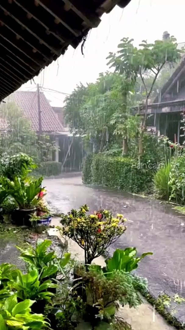⁣Rain calming