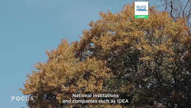 “Nature needs action, not just discussion,” says founder of IDEA international campaign