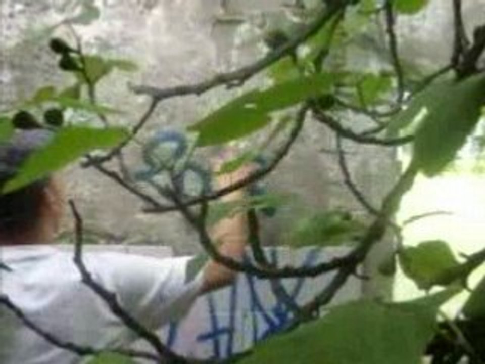 Graff route garde freinet