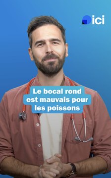 Prendre soin de ses poissons - Les conseils du véto