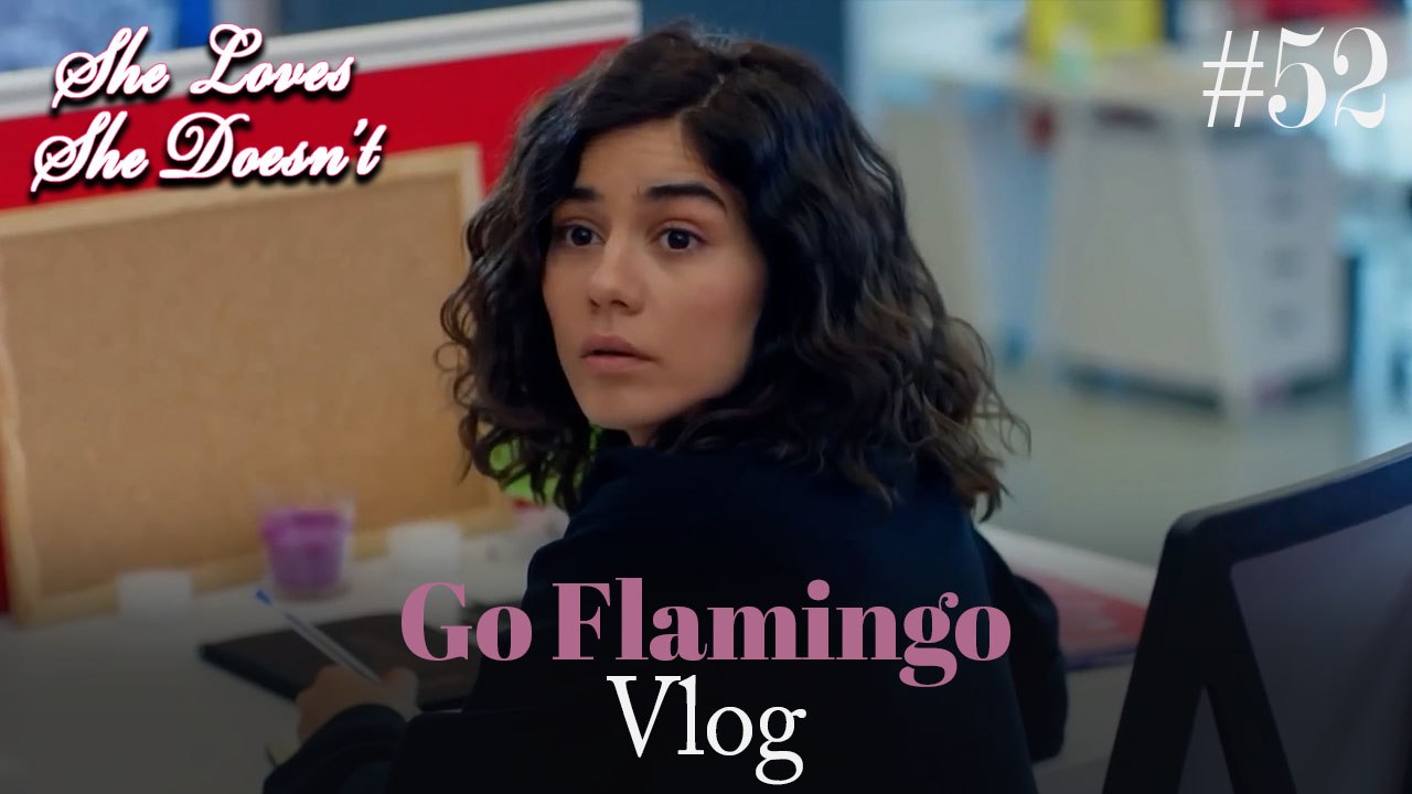 Go Flamingo Vlog #52