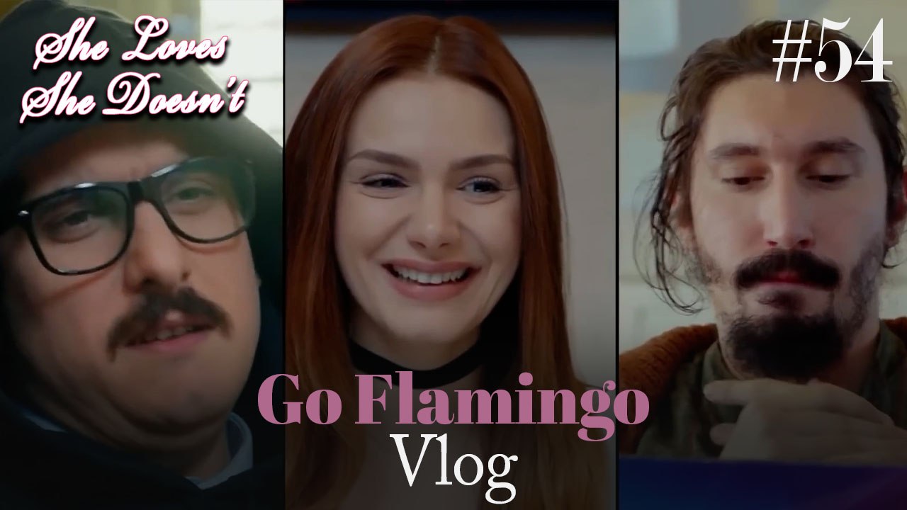 Go Flamingo Vlog #54
