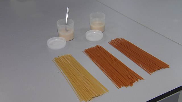 Nuovi alimenti da proteine vegetali: ecco come funziona il Micro4Food Lab di Unibz