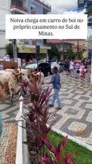 Noiva surpreende e chega a casamento em carro de boi em Minas Gerais