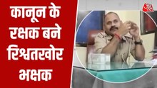 कहीं फंसाने का खौफ द‍िखाकर तो कहीं बचाने के नाम पर, रंगे हाथ पकड़े गए ये पुल‍िसवाले, देखें