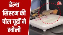 मध्यप्रदेश के सरकारी अस्पताल भगवान भरोसे, खुलेआम घूम रहे चूहे
