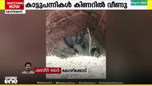 പന്നികൾ കിണറിൽ വീണു...
