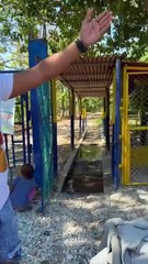 En busca de una familia que pudiera hacer una obra con ellos y miren lo que pasó 🥹😭😳