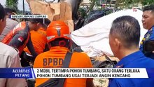 Pohon Tumbang Timpa 2 Mobil di Bandar Lampung,1 Orang Luka Parah | KOMPAS PETANG