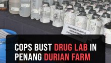 From durian orchard to drug factory: Police bust RM38mil meth lab in Teluk Bahang