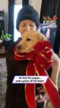 Heartbroken Man Breaks Down After Surprise Puppy Changes Everything|| Heartsome 💖