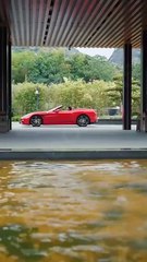 I Pretended to be a Fool, He Pretended to be Disabled We are the Power Couple! 🔥