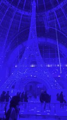 Meilleure activité à faire pendant les fêtes  à Paris 🎄⛸️✨