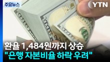 환율 1,484원까지 상승..."은행들 자본비율 하락 우려" / YTN