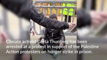 Greta Thunberg arrested at protest supporting Palestine Action hunger strikers