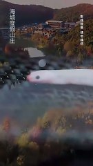 Power In Her Hands - She Commands, She Conquers