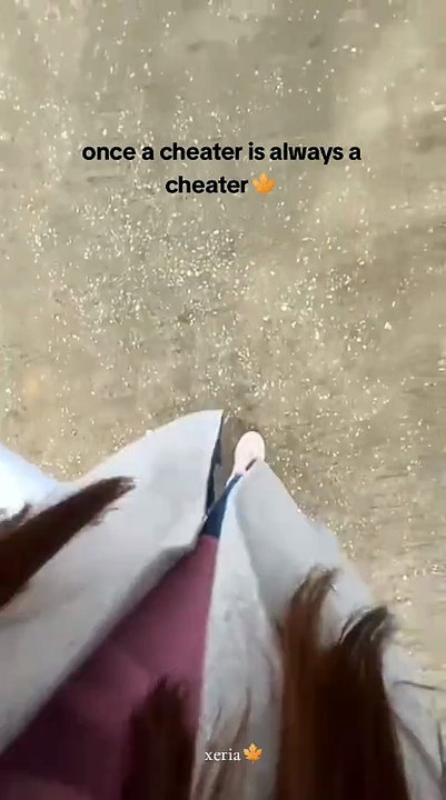 Once a cheater is Always a cheater