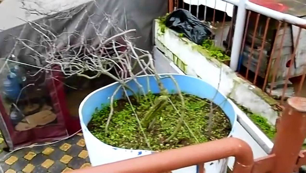 Temel'le Üsküdar-22,02,2013