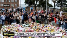 Gun Control: What Australia Should Do Next