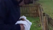 The Tawny owl release, Jonathan Woods Vet Clinic