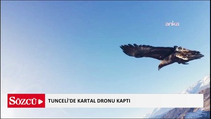 Tunceli'de kartal dronu kaptı...