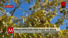 Productores de Tamaulipas advierten riesgos por acuerdo de aguas con EU