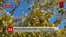 Productores de Tamaulipas advierten riesgos por acuerdo de aguas con EU